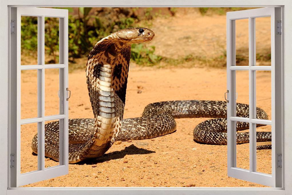 Cobra Snake Reptiles 3D Window Decal Wall Sticker Decor Art Mural Animals J16
