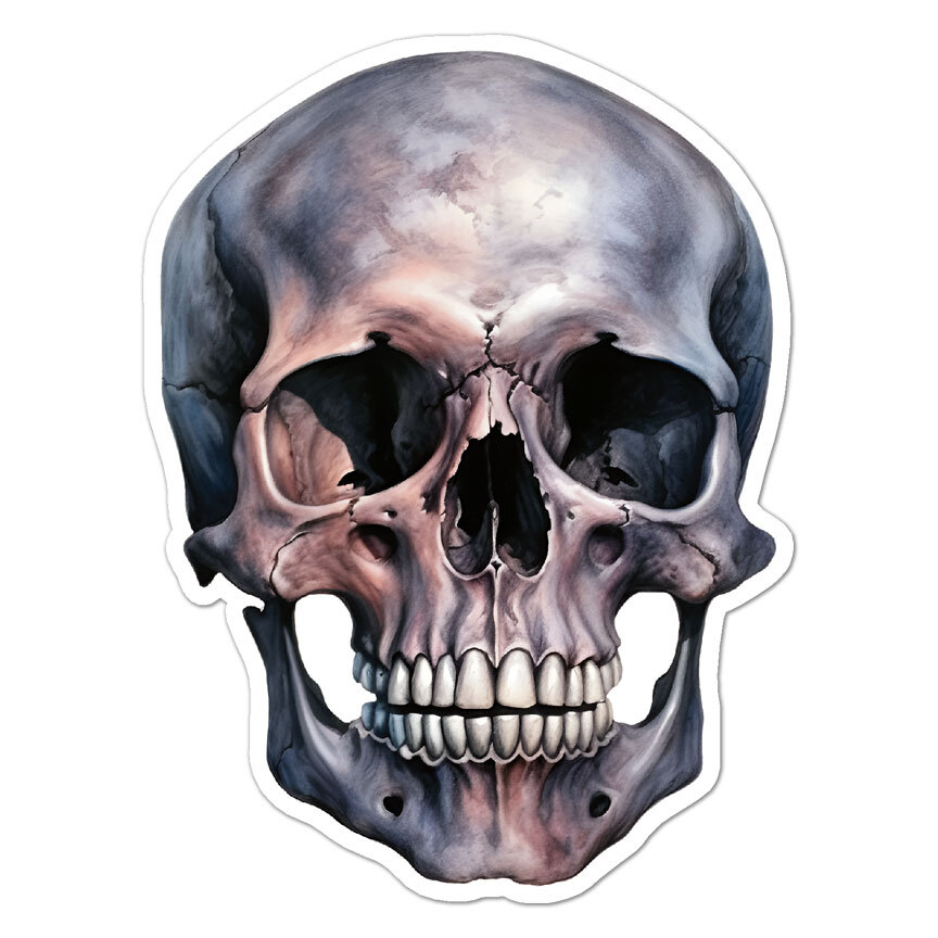 Human Skull, Vinyl Decal Sticker, Indoor Outdoor, 3 Sizes, #9976