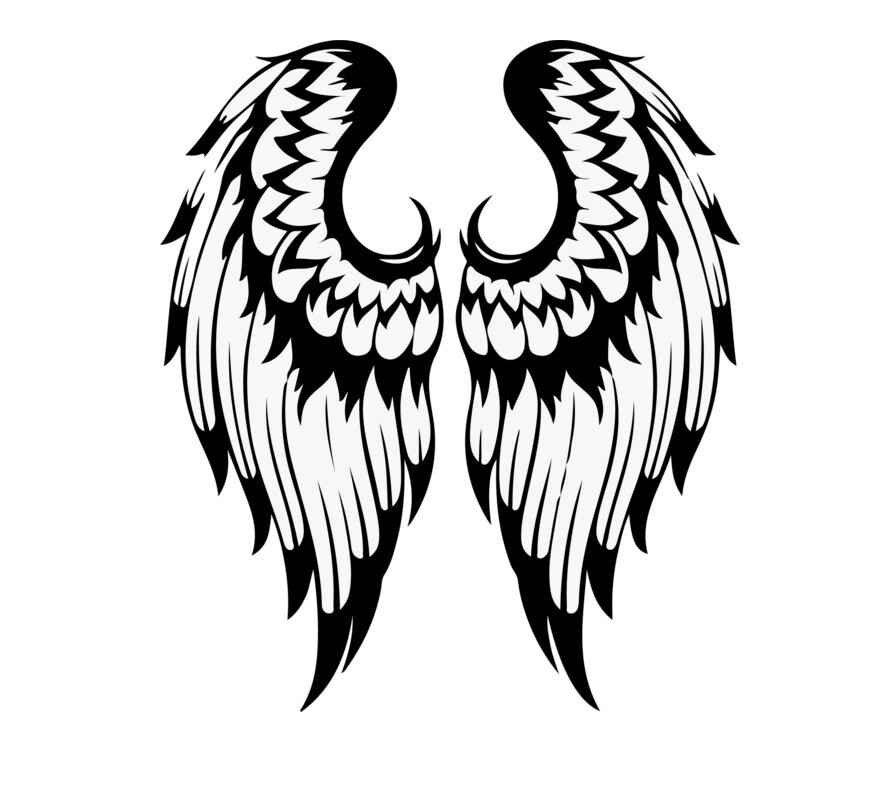Angel Wings Vinyl Decal