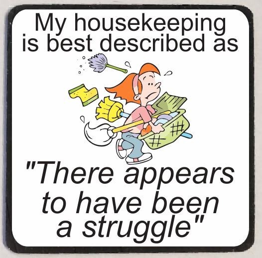 Housekeeping Struggle Refrigerator Magnet M163
