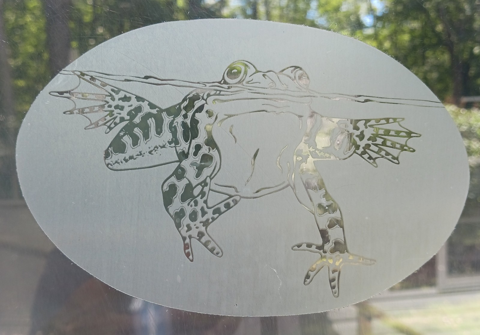 SWIMMING FROG Decal 4″x6″ OVAL Etched Glass Look Cling Removable & Reusable 44