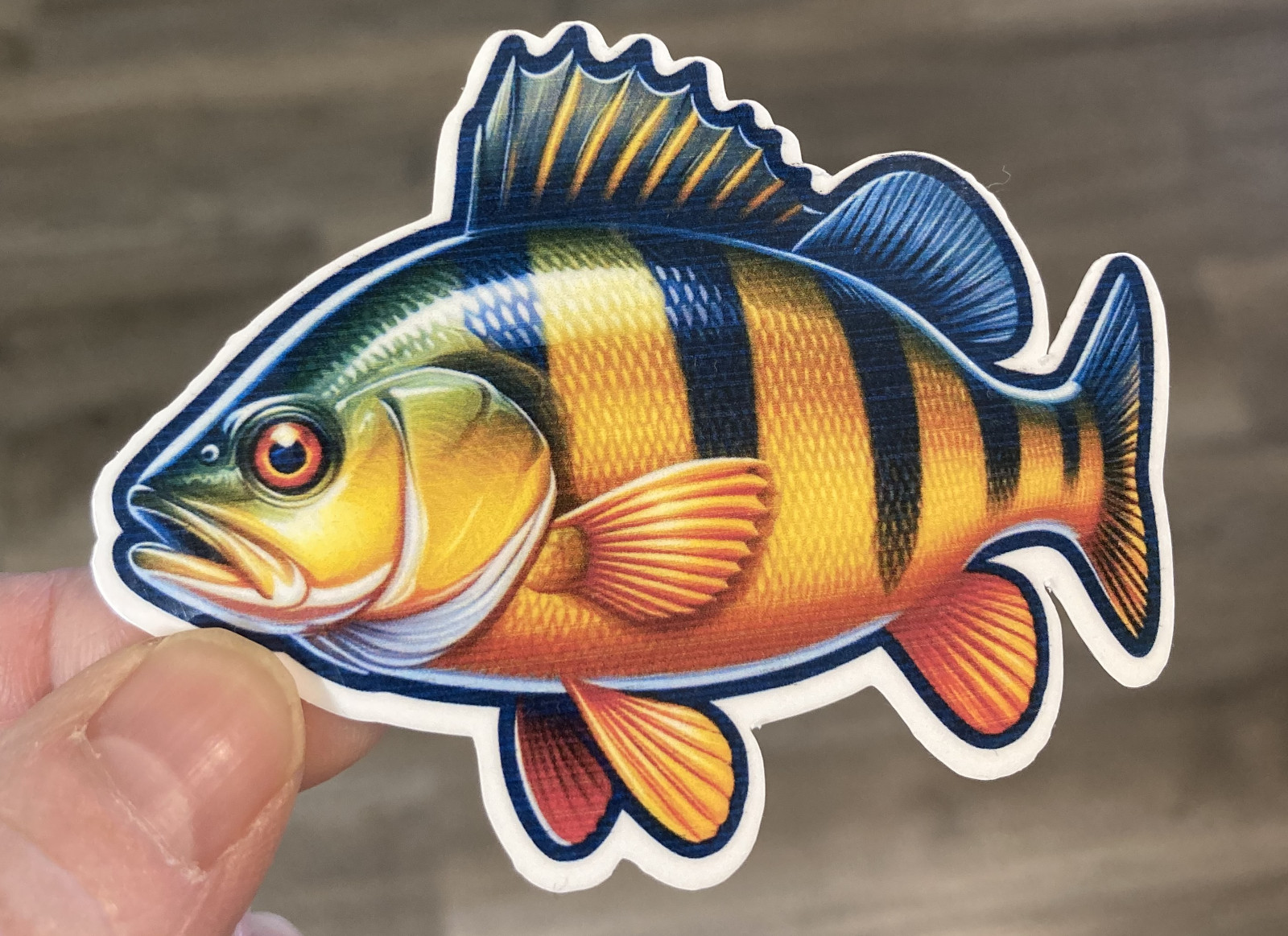 Yellow Perch Fish Sticker, Boat Sticker, Perch Fish Decal/sticker Waterproof
