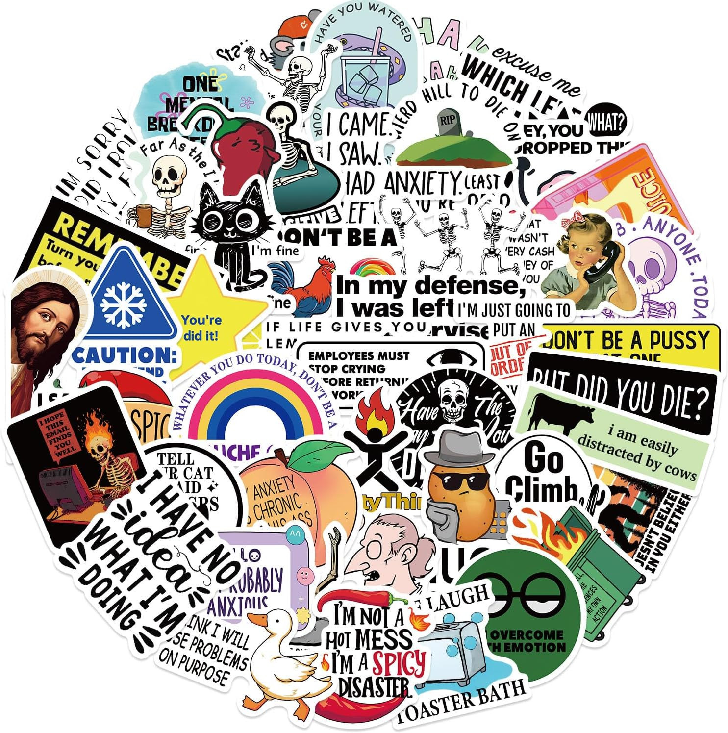 50Pcs Funny Prank Meme Stickers, Snarky Vinyl Decals for Laptop Scrapbook