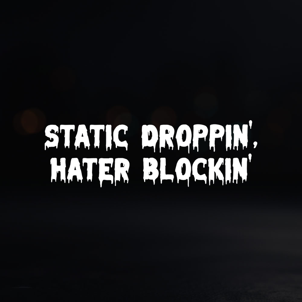 8in Vinyl Decal Sticker – “Static Droppin’, Hater Blockin’”