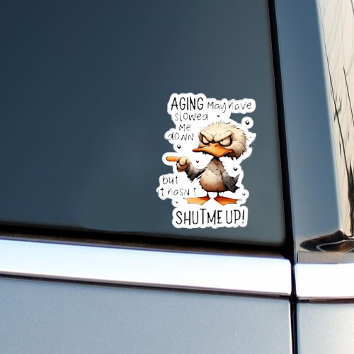 4pc Aging May Have Slowed Me Down Funny Sarcastic Vinyl Sticker Set, 2.0″ x 2.4″