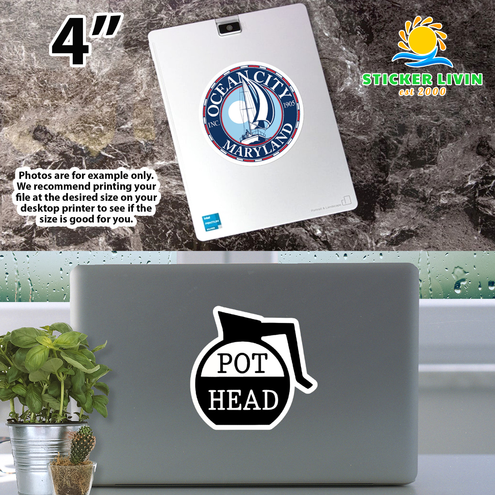 Custom Labels on a Roll | Gloss or Matte Lamination | Your Logo or Design