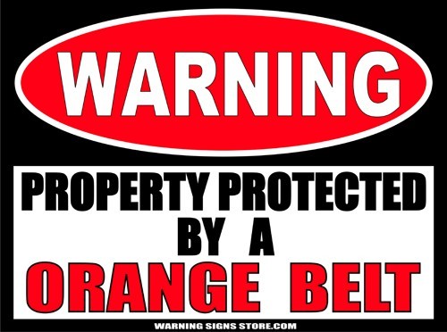 Orange Belt Funny Martial Arts Warning Sign Bumper Sticker Decal 6″ WS299
