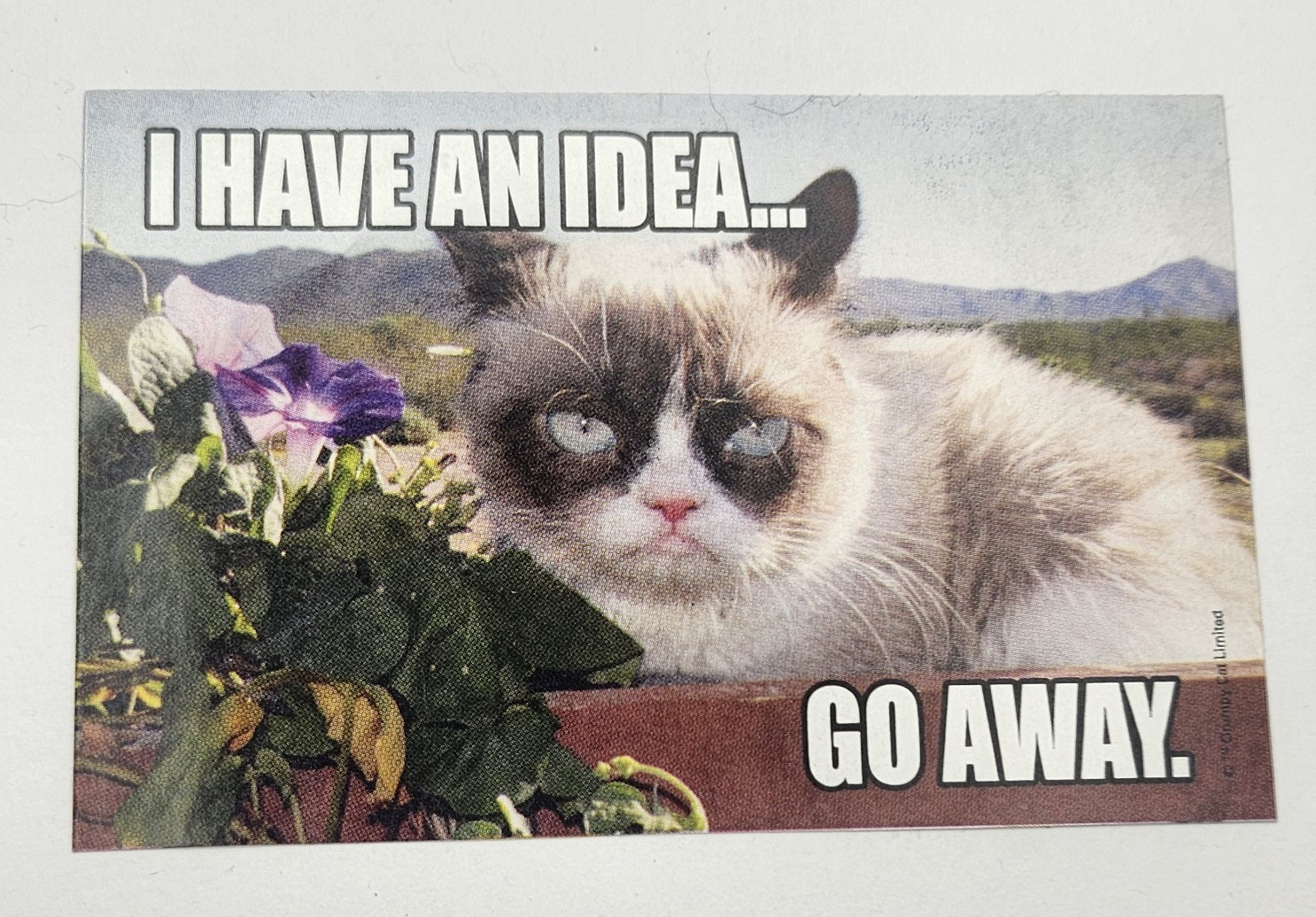 Grumpy Cat Sticker Collectible Sandy Lion GCS1 Series Vending Machine