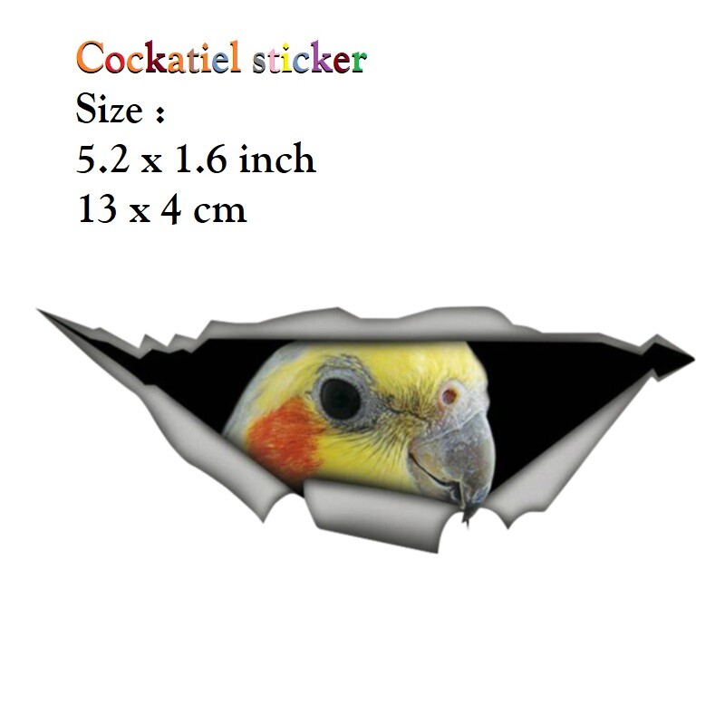 Cockatiel bird sticker, bird, parrot sticker for car laptop office room