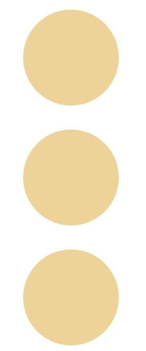 2.5″ Beige Tan Ivory Round Dots Stickers Color Coding Inventory 2.5 Inch Dot