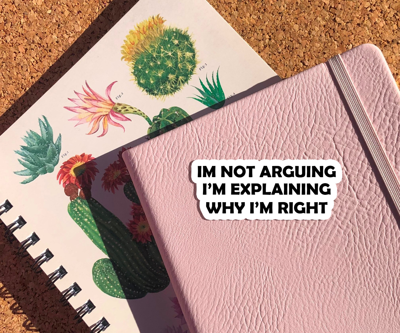 I’m Not Arguing I’m Explaining Why I’m Right Vinyl Sticker – Funny Sarcastic