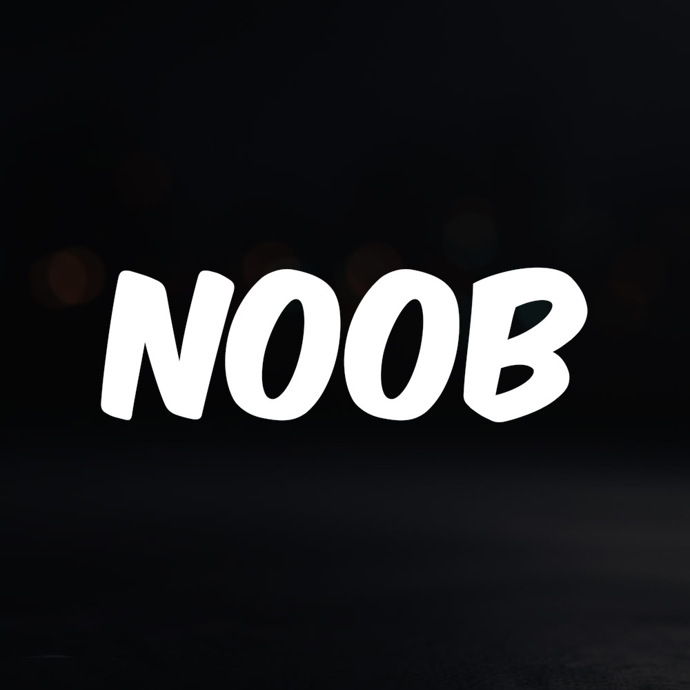 8in Vinyl Decal Sticker – “Noob”