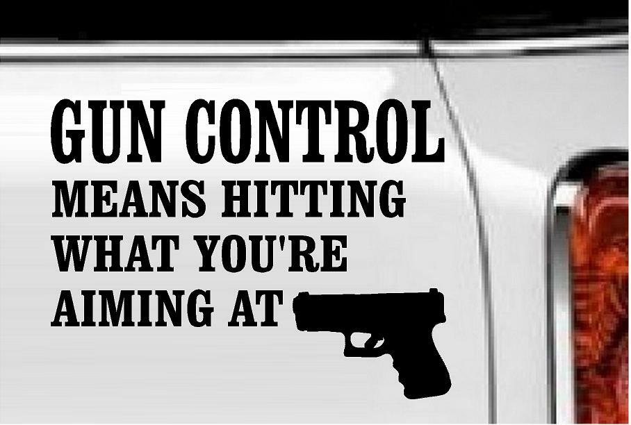 Gun Control Means…Vinyl Decal Home Décor 6″ x 8″