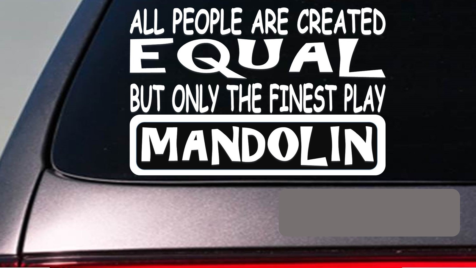 Mandolin all people equal 6″ sticker *E628* acoustic bluegrass string pick tuner