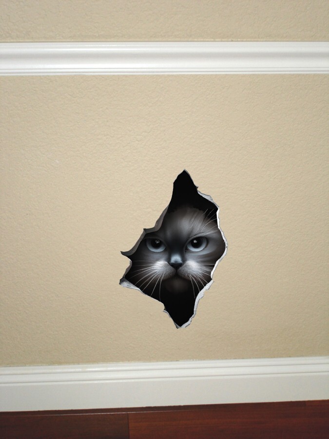Grey Cat Peeking Through Hole in Wall – Wall Decal High Quality Removable Vinyl