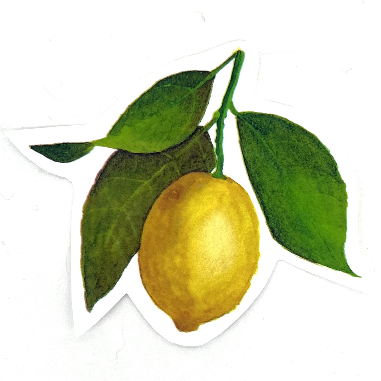 Yellow 4” Lemon and Leaves Watercolor Vinyl Sticker for Laptops, etc Decal