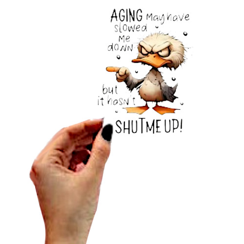 4pc Aging May Have Slowed Me Down Funny Sarcastic Vinyl Sticker Set, 2.0″ x 2.4″