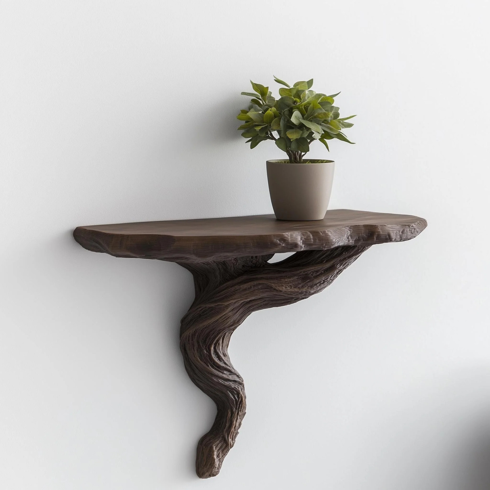 Twisted Root Wall Shelf | Organic Floating Shelf for Plants | 3D Printed Tree