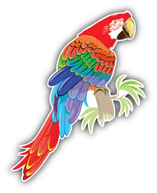 Parrot Cartoon Car Bumper Sticker Decal “SIZES”
