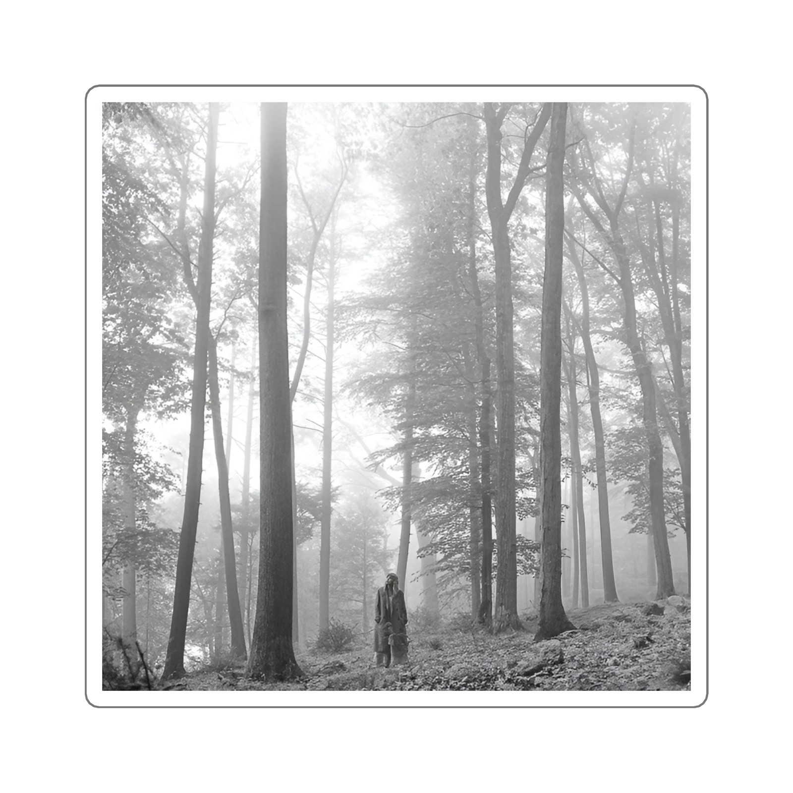 Swift “Folklore” Sticker | Indie Folk Pop Modern Classic Album Decal