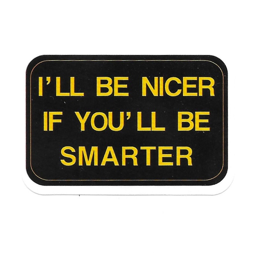 I’ll Be Nicer If You’ll Be Smarter Vinyl Sticker Funny Sarcastic Quote Decal