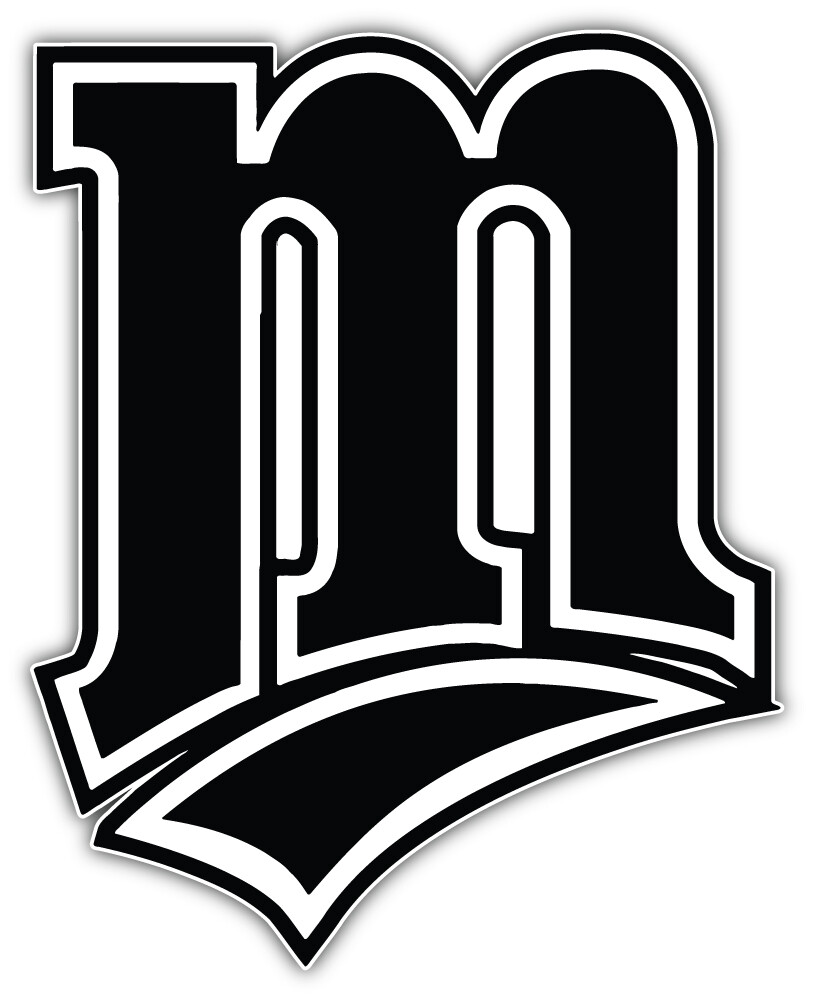 Minnesota Twins MLB Baseball Sport Logo Car Bumper Sticker Decal “SIZES”
