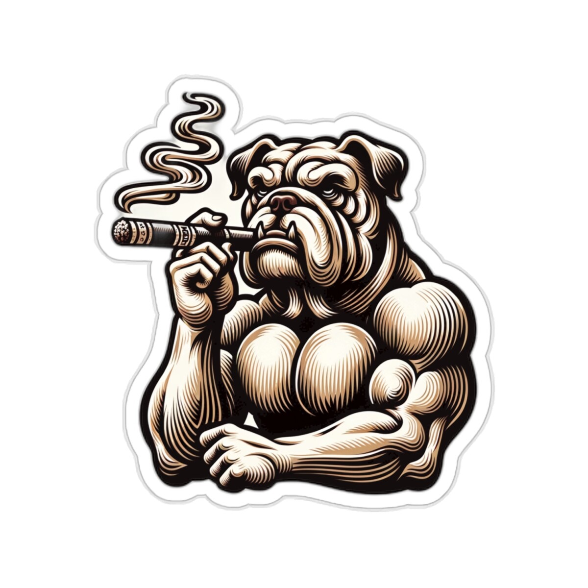 Sticker Buff Bodybuilding Bulldog Gym Cigar Fitness Pet Gift 2×2″ 3×3″ 4×4″ 6×6″