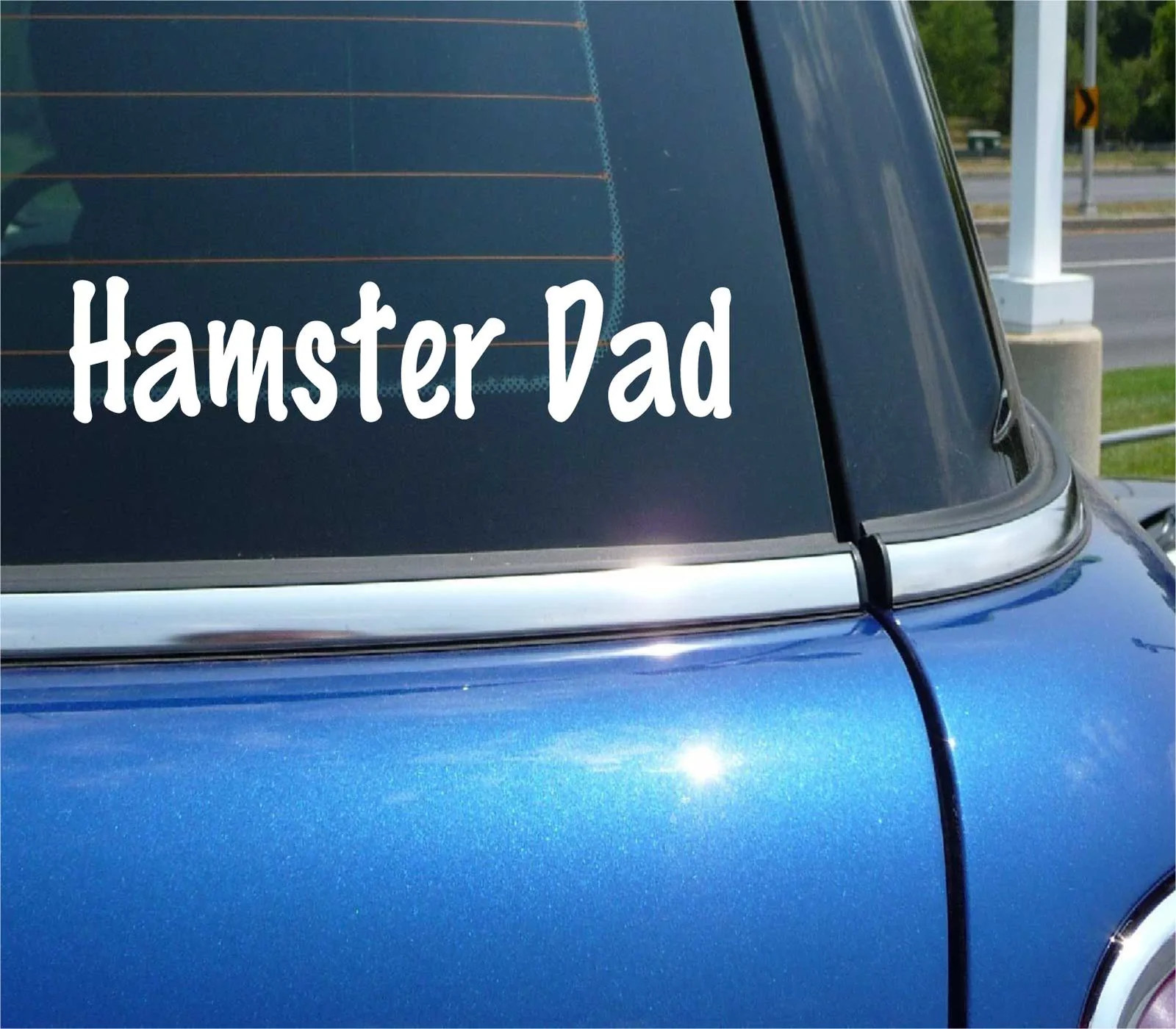 HAMSTER DAD DECAL STICKER FUNNY PET LOVE FRIEND RODENT CUTE CAR TRUCK