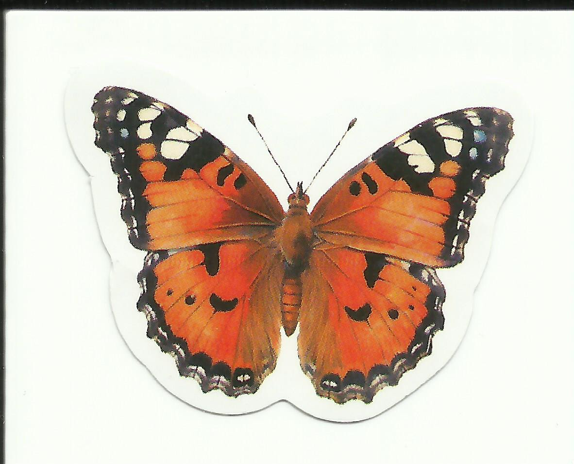 BUTTERFLY sticker 1.6″ x 1.3″ Orange & Black