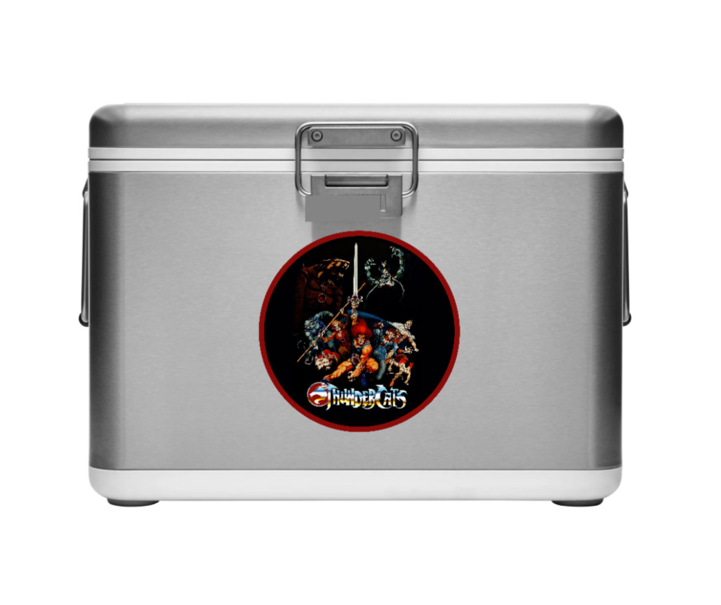 Thundercats Cast – 4″ Handmade Vinyl Decal Vehicle Decor Cooler Laptop Tumbler