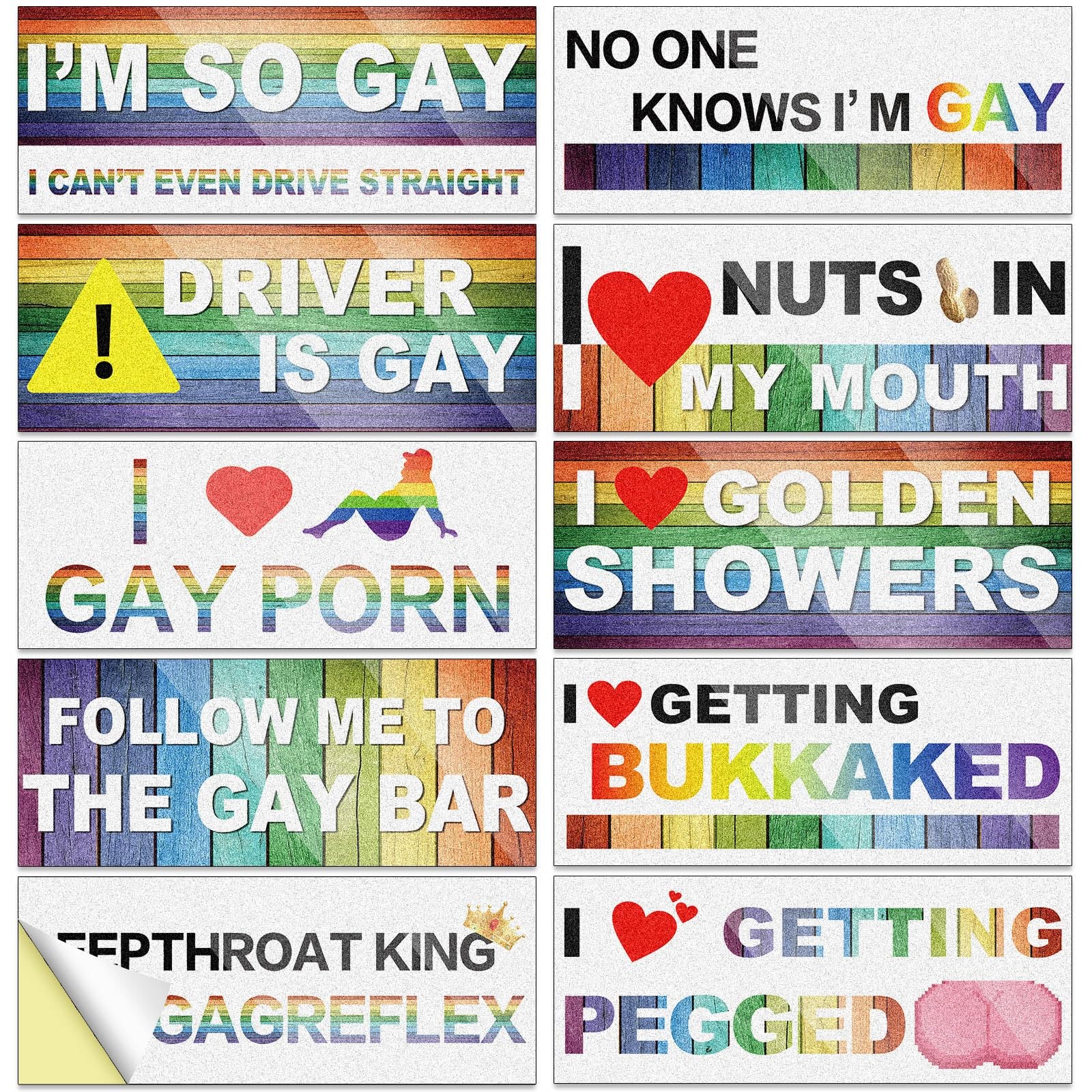 Frienda 10 Pcs Bumper Decals Funny LGBT Stickers Rainbow PVC, Classic Style