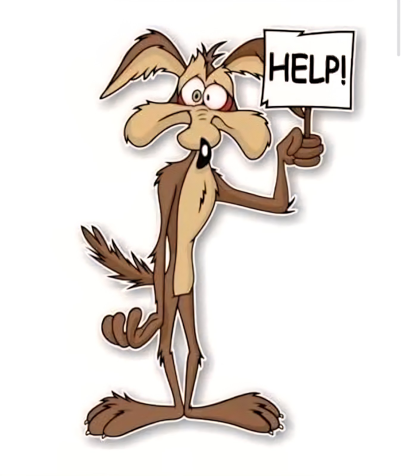 Wile E. Coyote Die-Cut Vinyl Sticker 3.5″ Weatherproof