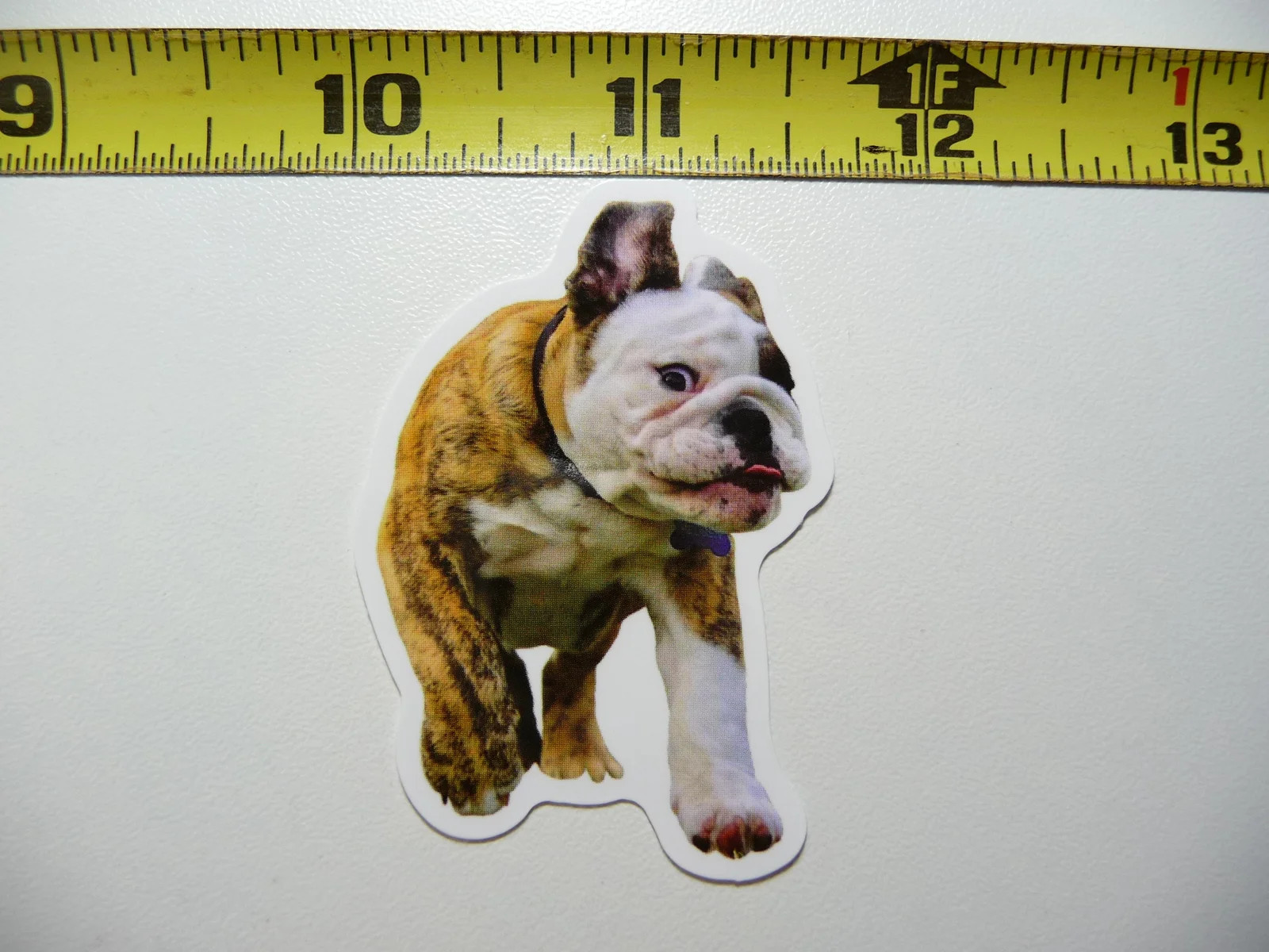 RUBBER FACE BULLDOG FUNNY DOG SMALL STICKER DECAL PET PLAY FURBALL