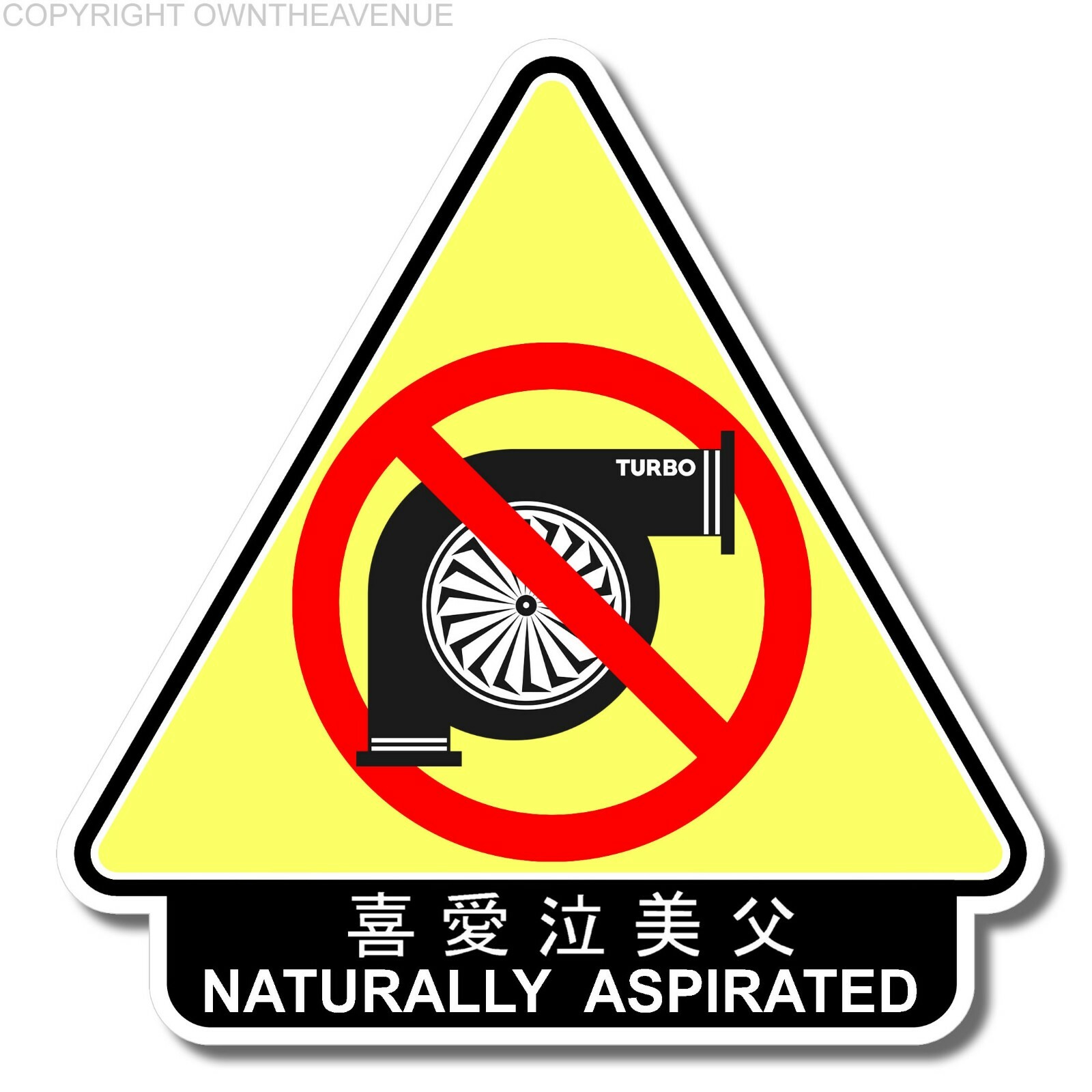Naturally Aspirated Funny No Non Turbo Kanji Japanese JDM Vinyl Sticker Decal 4″