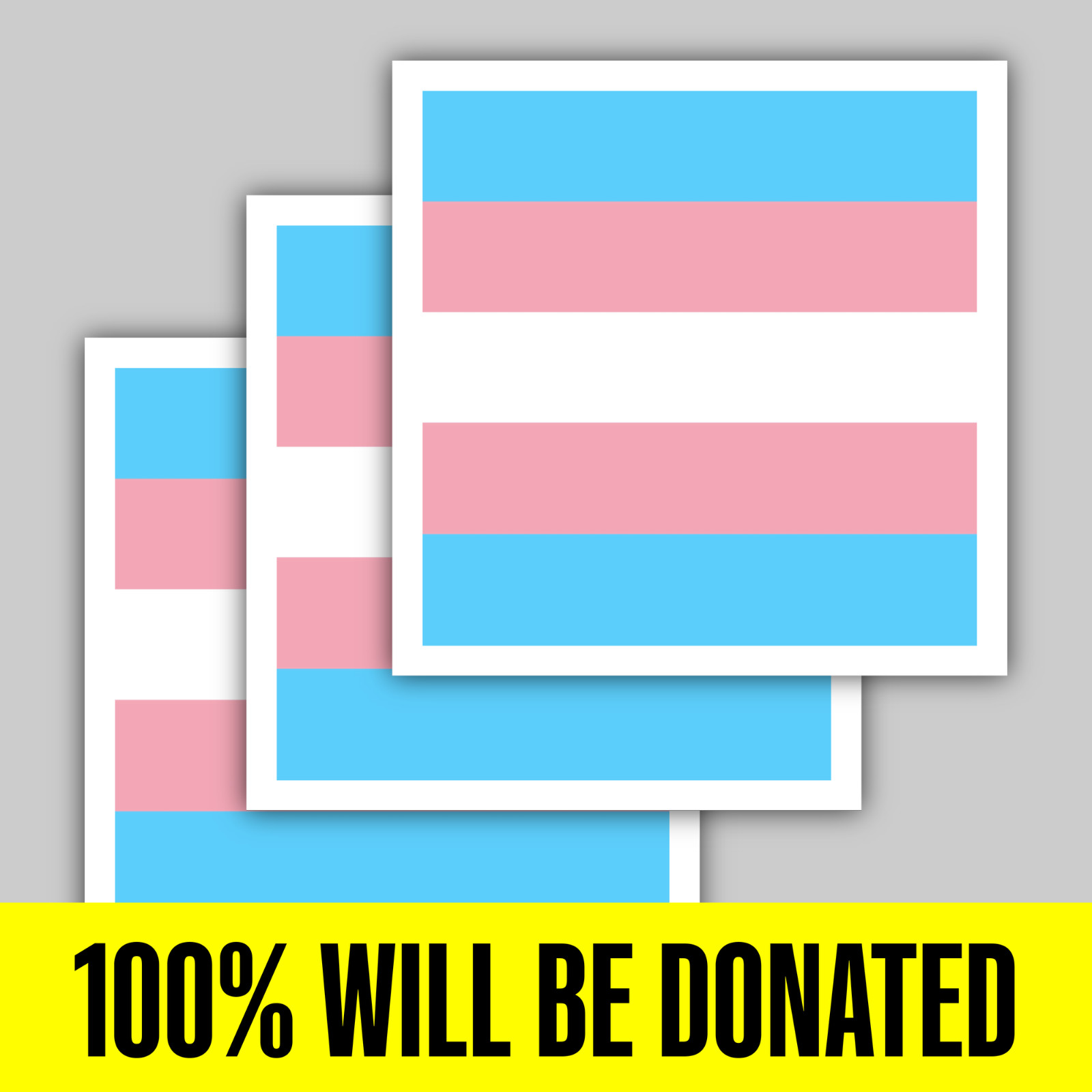 “TRANSGENDER PRIDE” FLAG 3 Sticker Pack (5 inches)