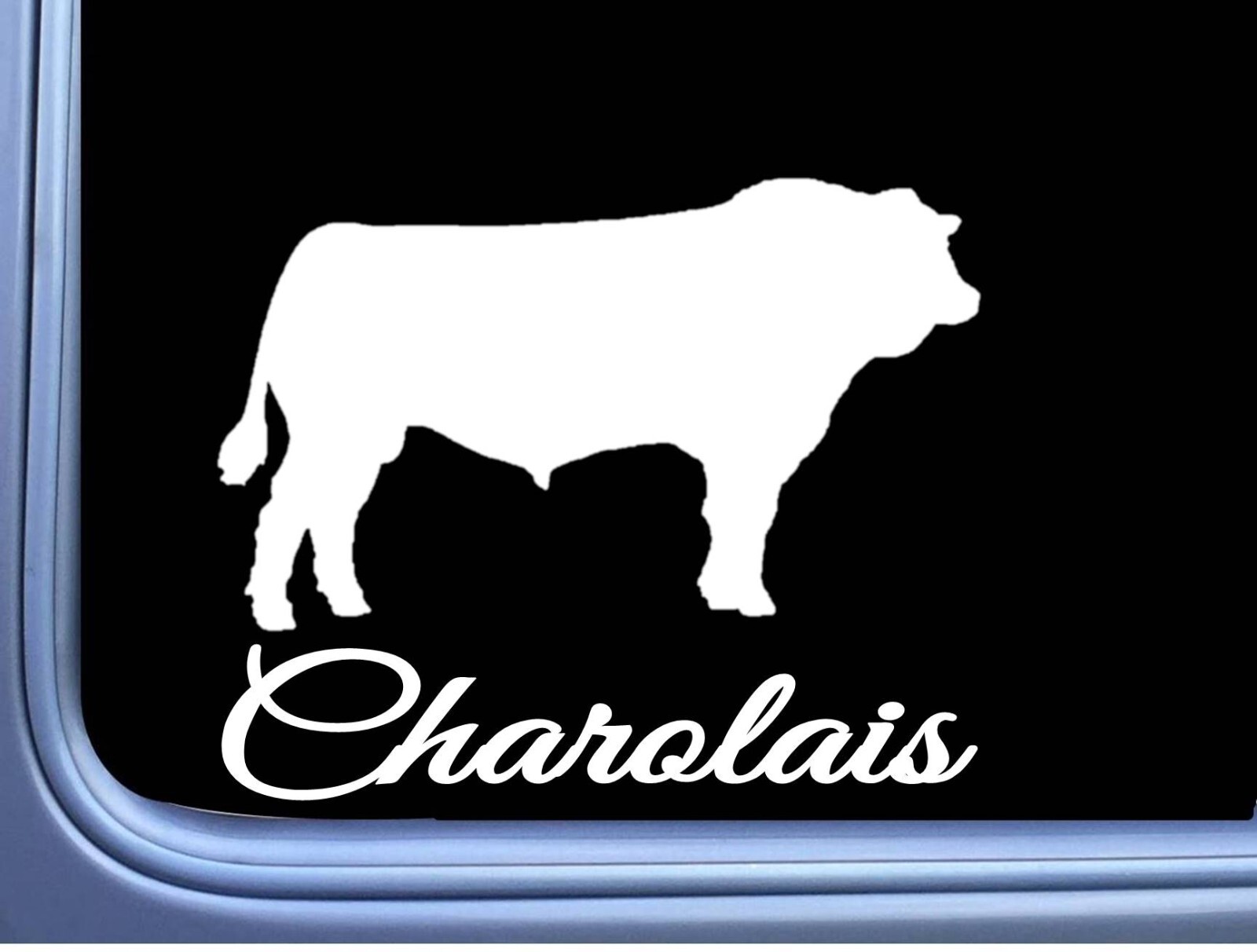 Charolais Bull Decal 6″ Sticker OS 281 cattle cow beef