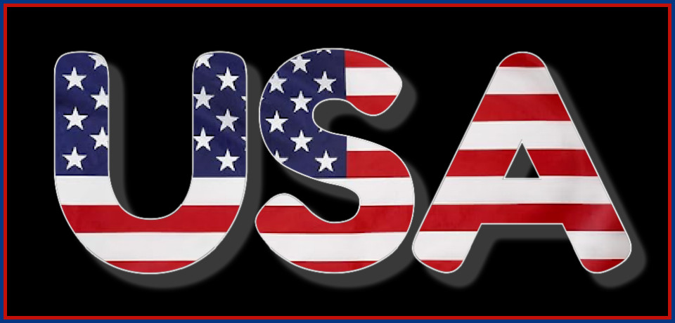 USA black vinyl sticker 4in x 2in