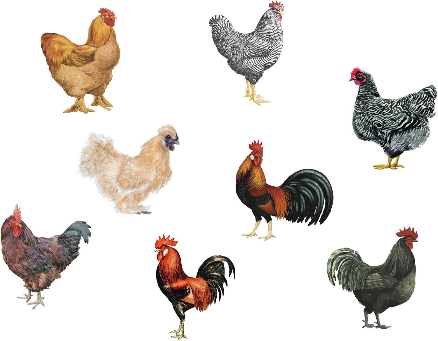 PLIGREAT 8 Pcs Roosters Hens Wall Stickers, Removable Vinyl Peel Rooster Hen