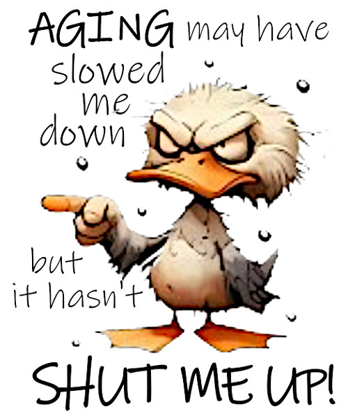 4pc Aging May Have Slowed Me Down Funny Sarcastic Vinyl Sticker Set, 2.0″ x 2.4″