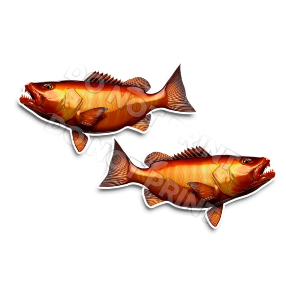 Cubera Snapper Decals Fish Stickers Tackle Box RV Truck Trailer Camping AFP-0173