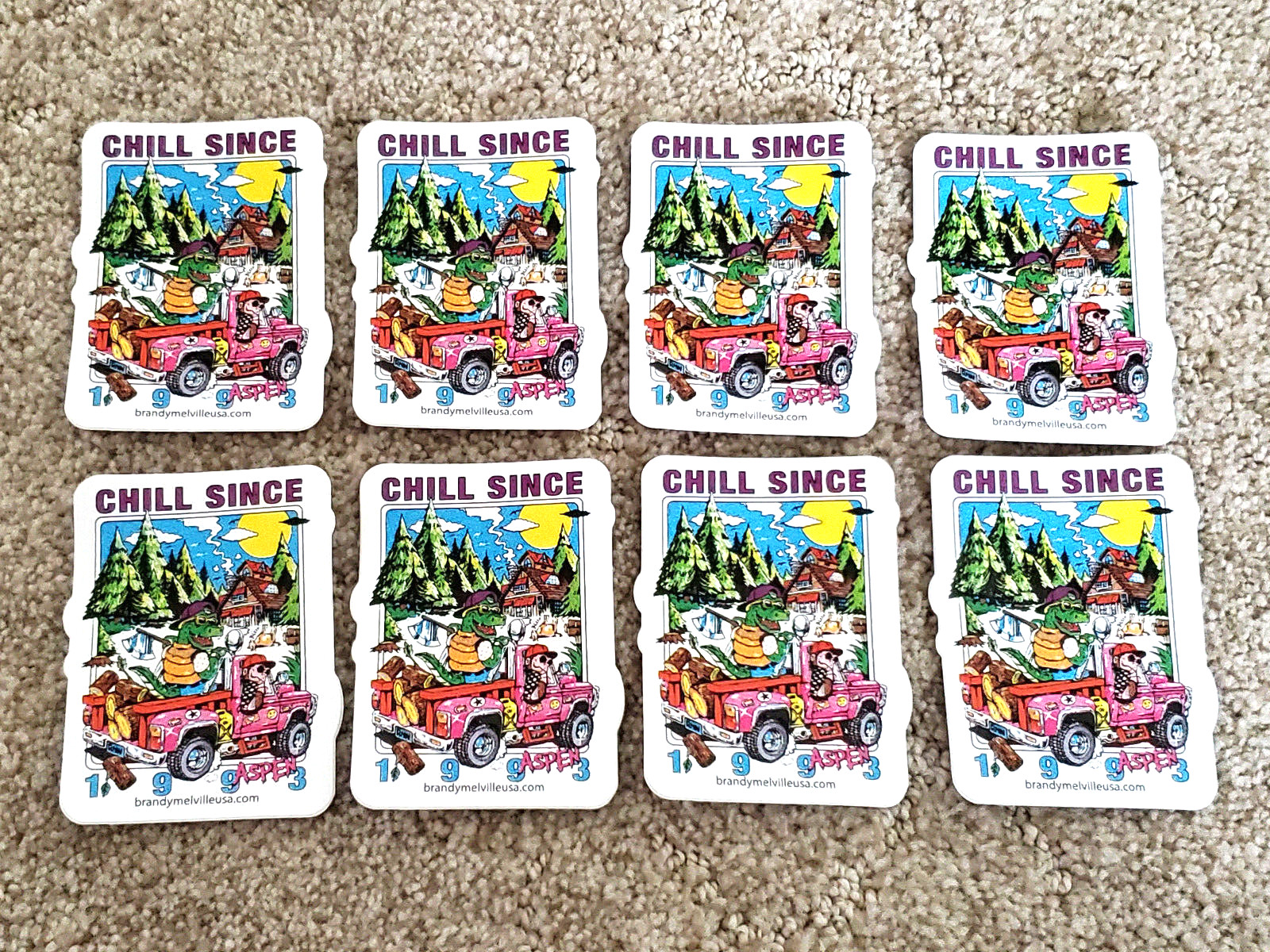 8 Brandy Melville Stickers Chill Since 1993 Aspen Vinyl Decal Skateboard Sticker