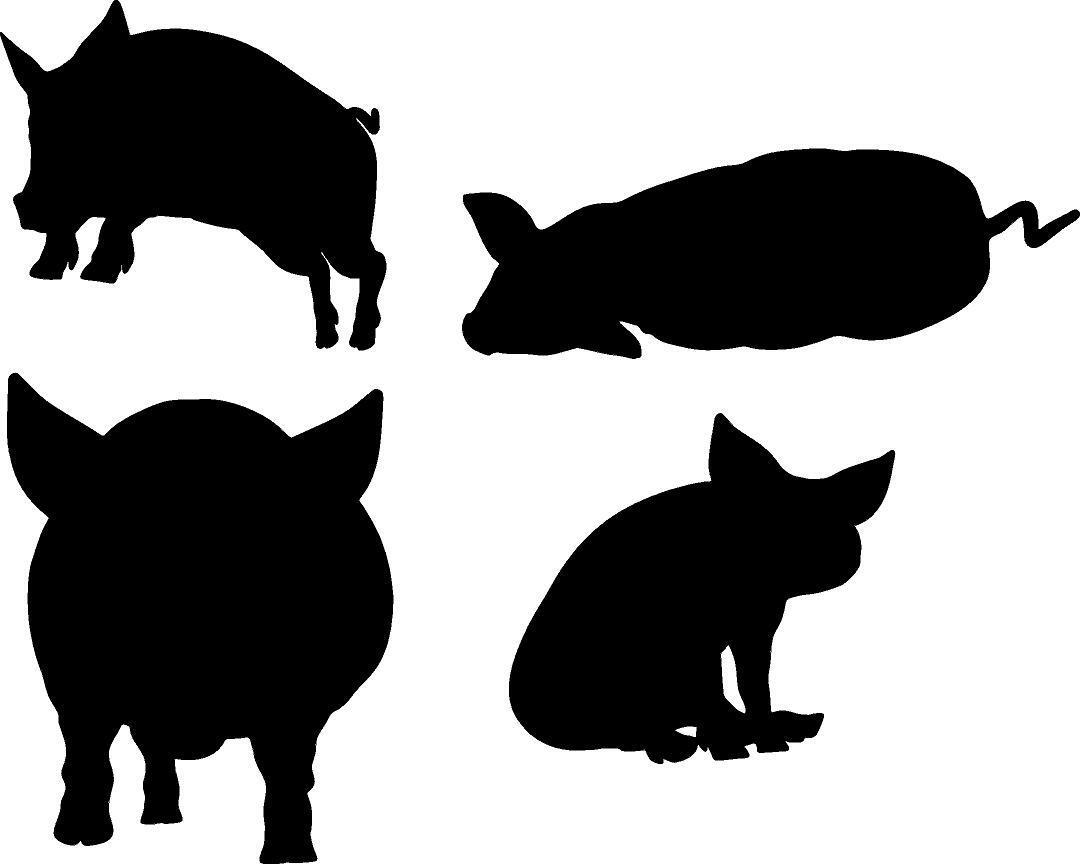 Pigs Assorted – 4 in Set Vinyl Decal Home Décor 12″ x 15″