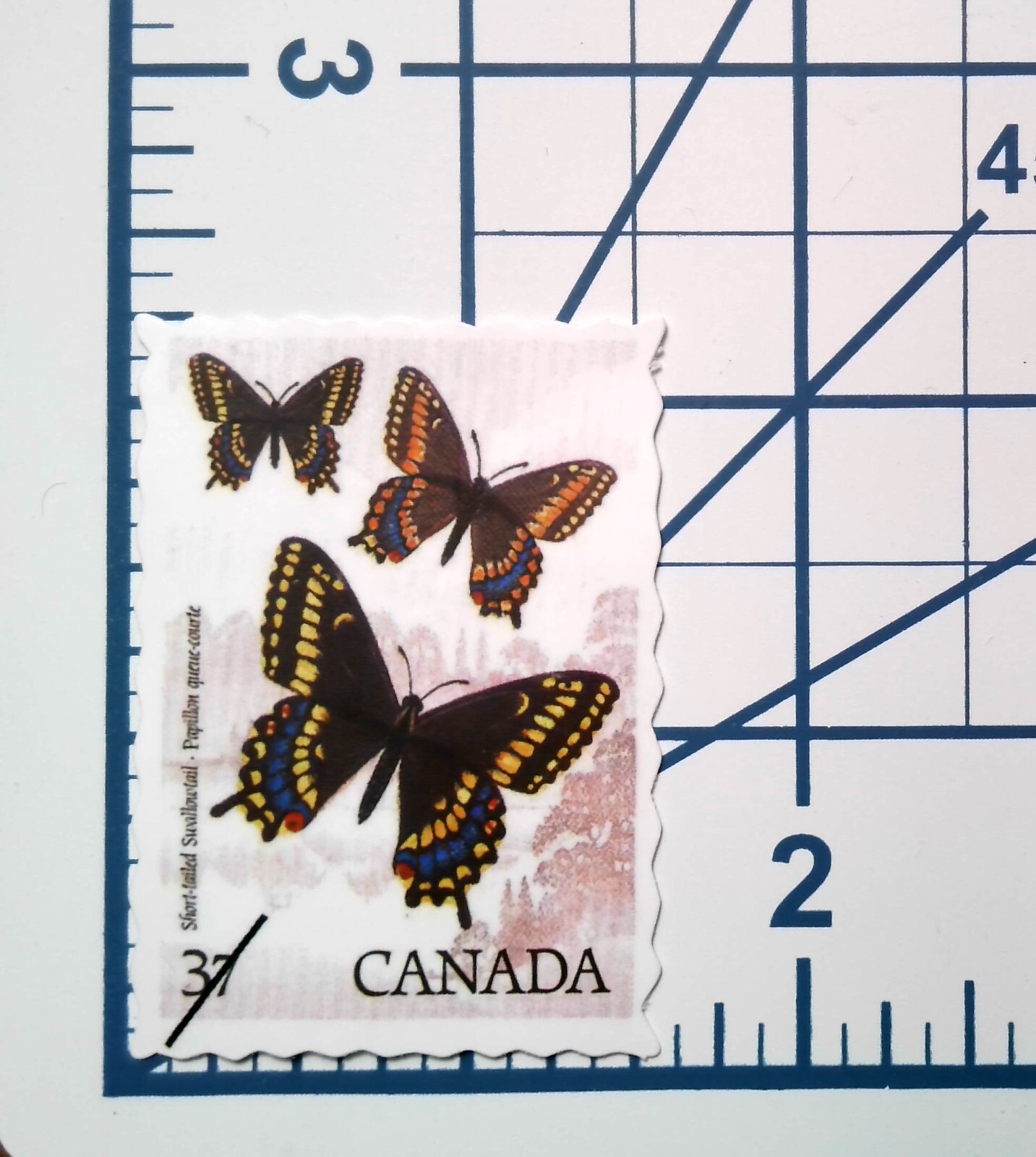 Canada Stamp Short Tailed Swallowtail Butterfly Die Cut Vinyl Sticker Decal