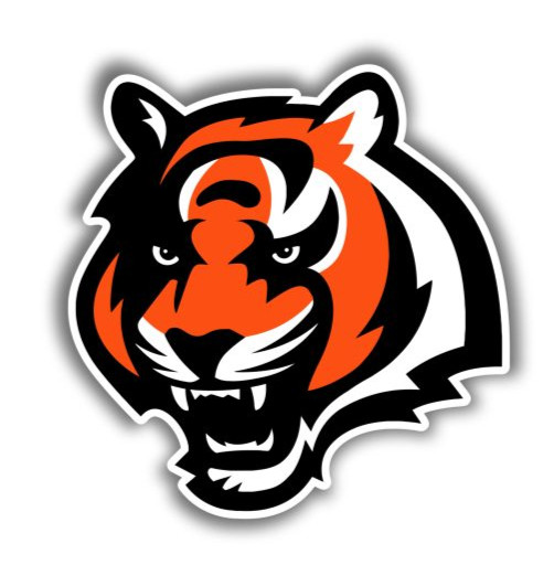 Cincinnati Orange Black Football Weather Resistant Vinyl Sticker/Decal 02