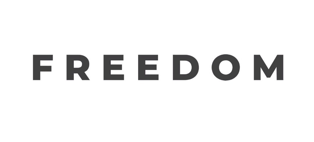 (4) FREEDOM Decal Vinyl Transfer Sticker Die Cut Car Window Laptop Charlie Kirk