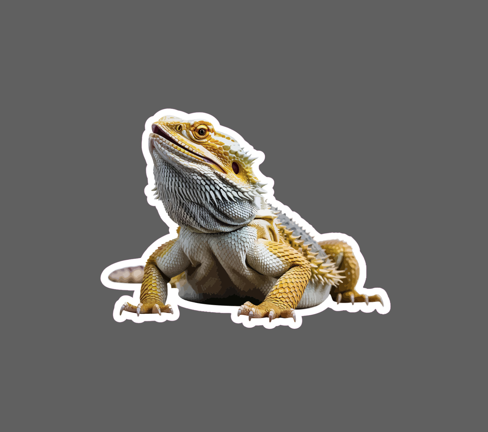 Bearded Dragon Sticker Lizard Animal Pet Friend Wildlife Gift Waterproof NEW