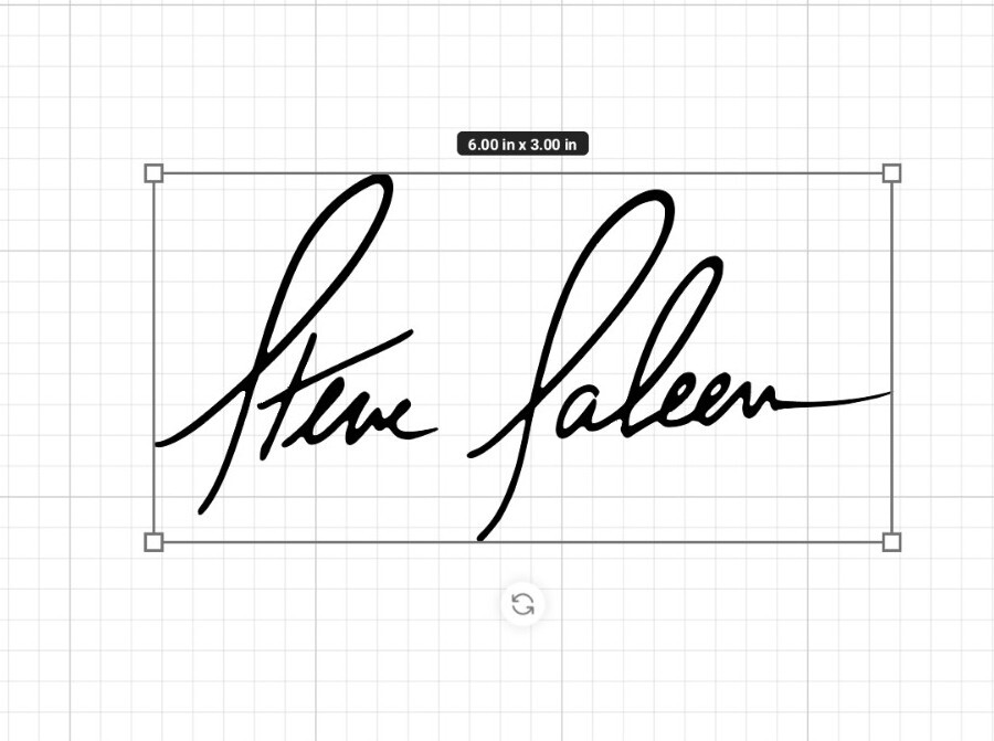 Steve Saleen Autograph VINYL DECAL, S7, Racing, Mustang, Autosport, car truck 6″