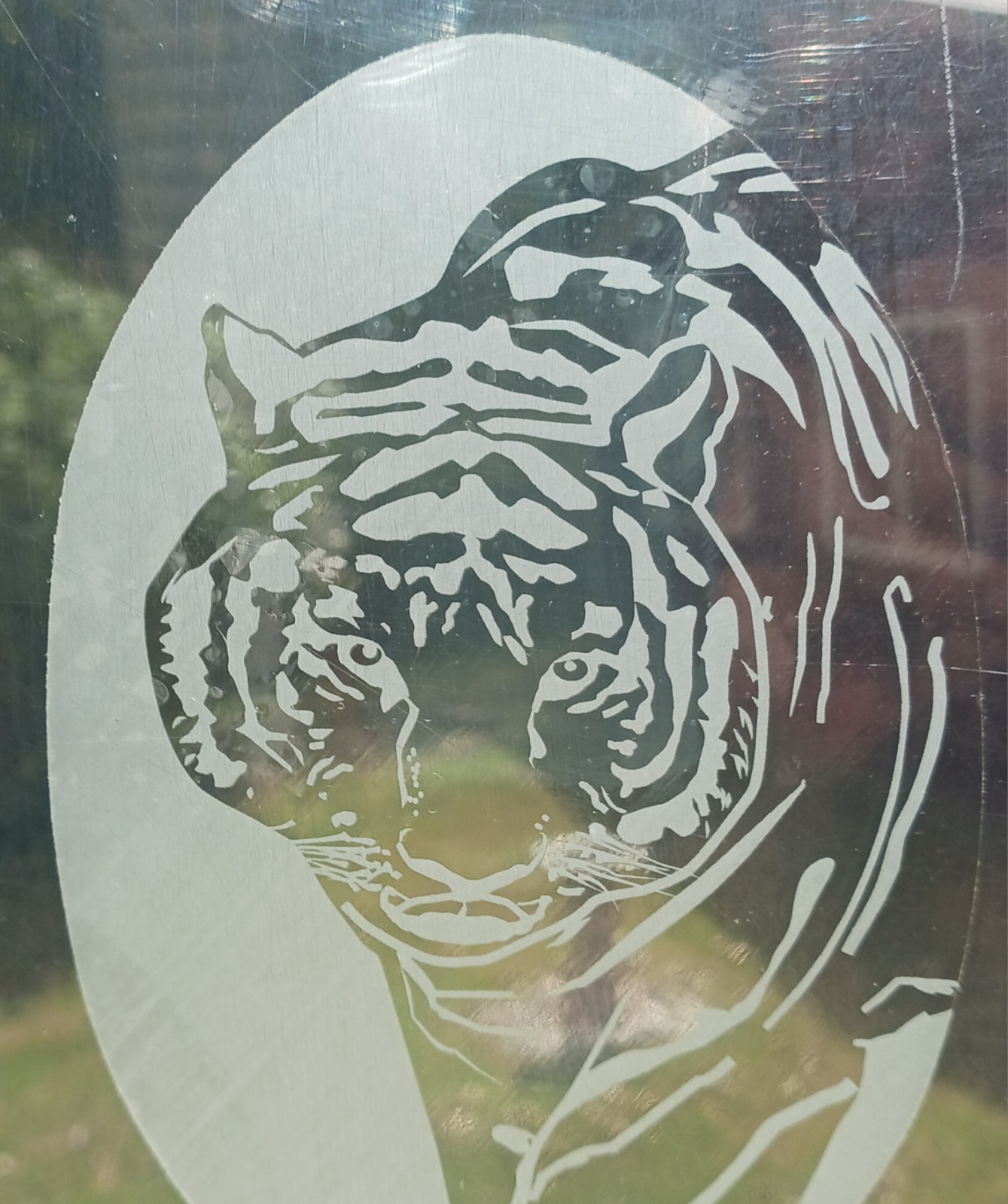 Tiger Window Decal 4″x6″ OVAL Etched Glass Look Cling Removable & Reusable 9
