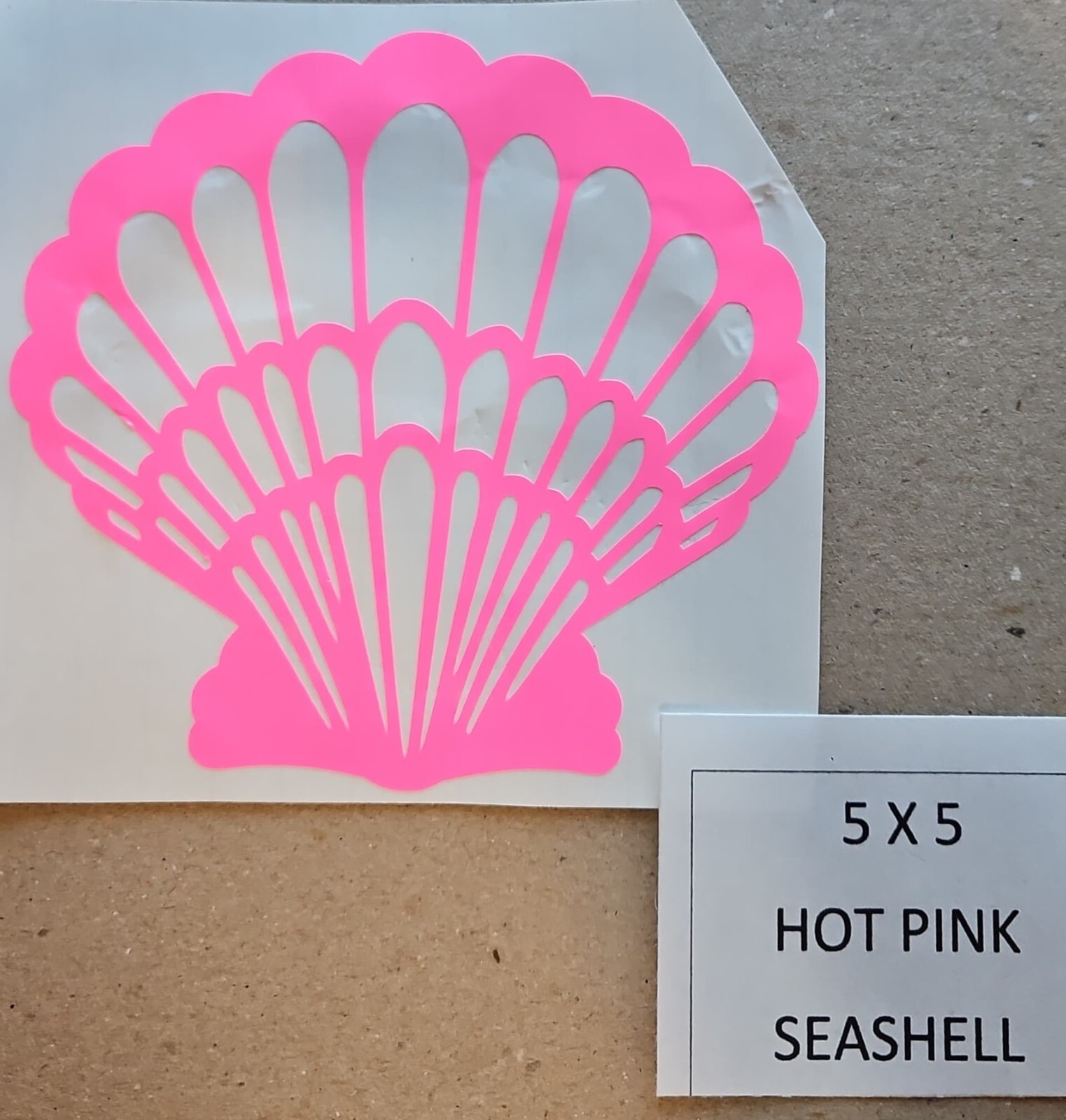 Hot Pink Seashell 5″ x 5″ Vinyl Window Decal