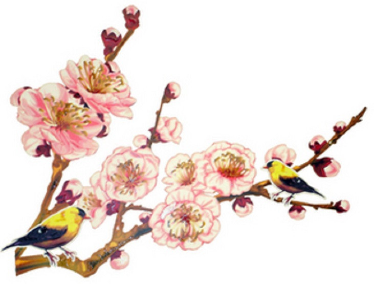 GOLDFINCH FLOWER WALL DECAL REMOVABLE 24″ WASHABLE CAN REPOSITION new SEE PICS